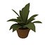 3D small potted plants model