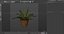 3D small potted plants model