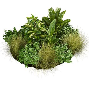 3D plant vol 890 - Outndoor - garden - leaf