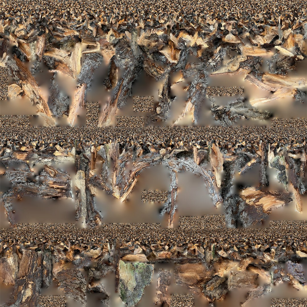 3D Tree Root 3D Scan - TurboSquid 2147319