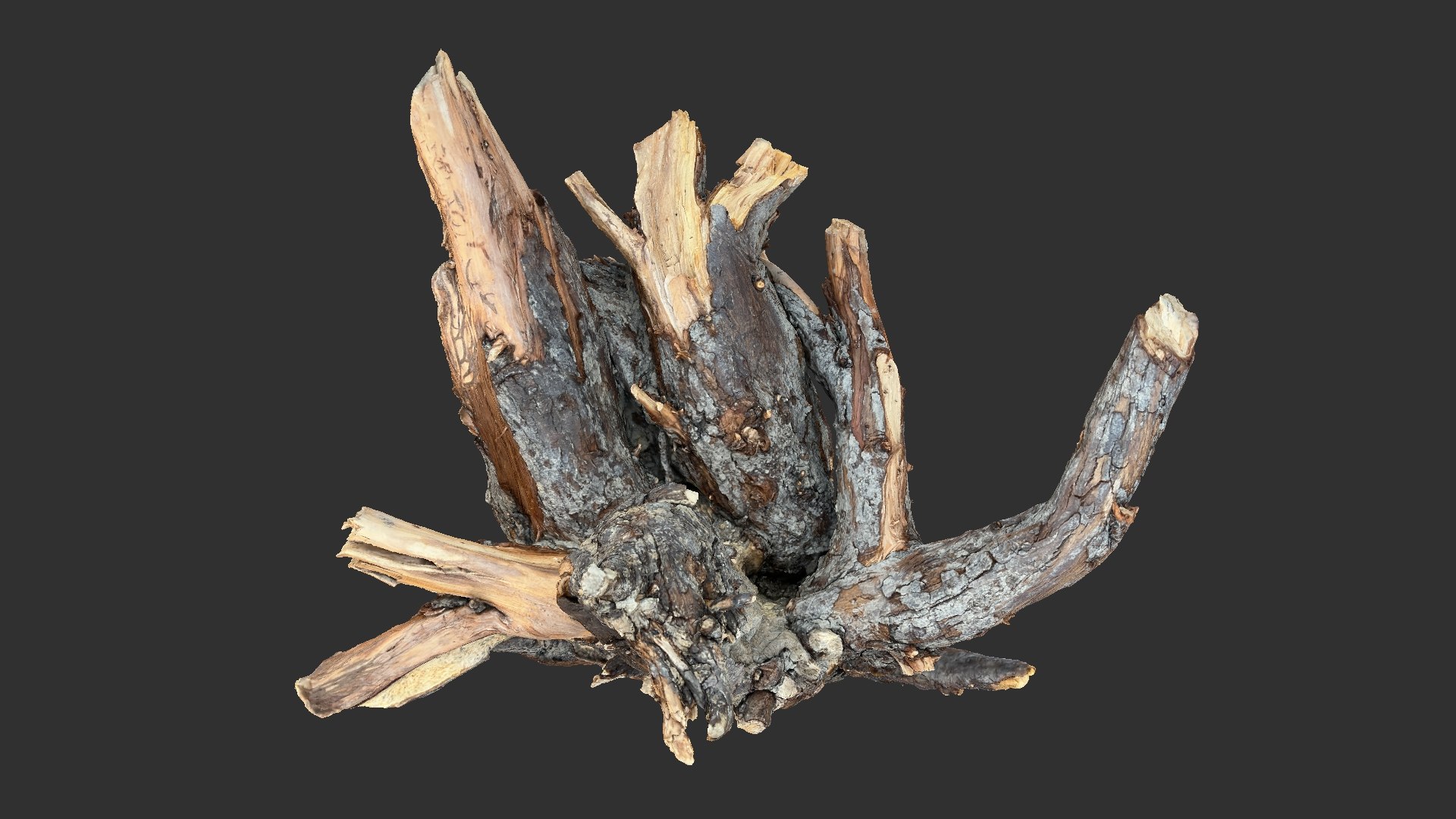 3D Tree Root 3D Scan - TurboSquid 2147319