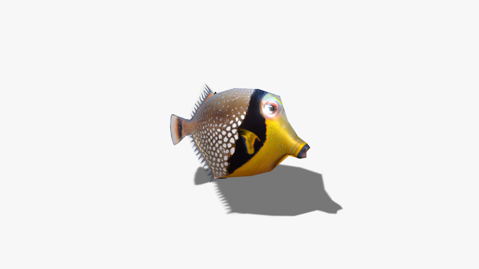 20 Animated Low Poly Fish 3D - TurboSquid 2129739