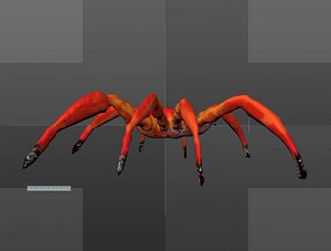 little spider