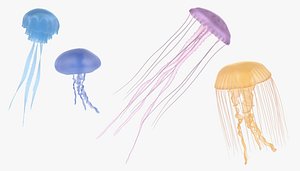 3D jellyfishes underwater