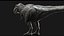 Giganotosaurus Tyranosaurus truccato in 3D