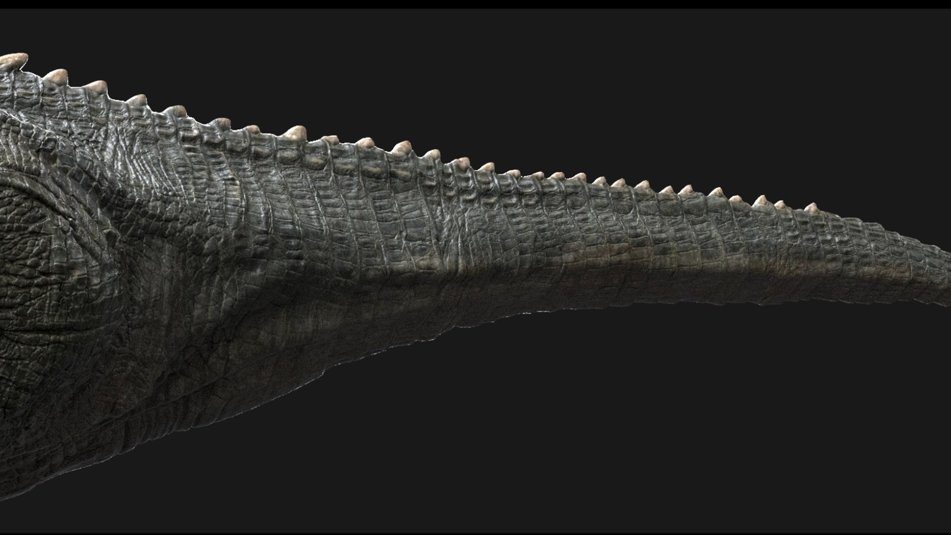 Giganotosaurus Tyranosaurus Rigged 3D 3D model https://p.turbosquid.com/ts-thumb/dn/zMc4e0/G2/10/jpg/1759390986/1920x1080/fit_q87/a3c97e01c6536dfd86704c059bf7c3af013c6e18/10.jpg