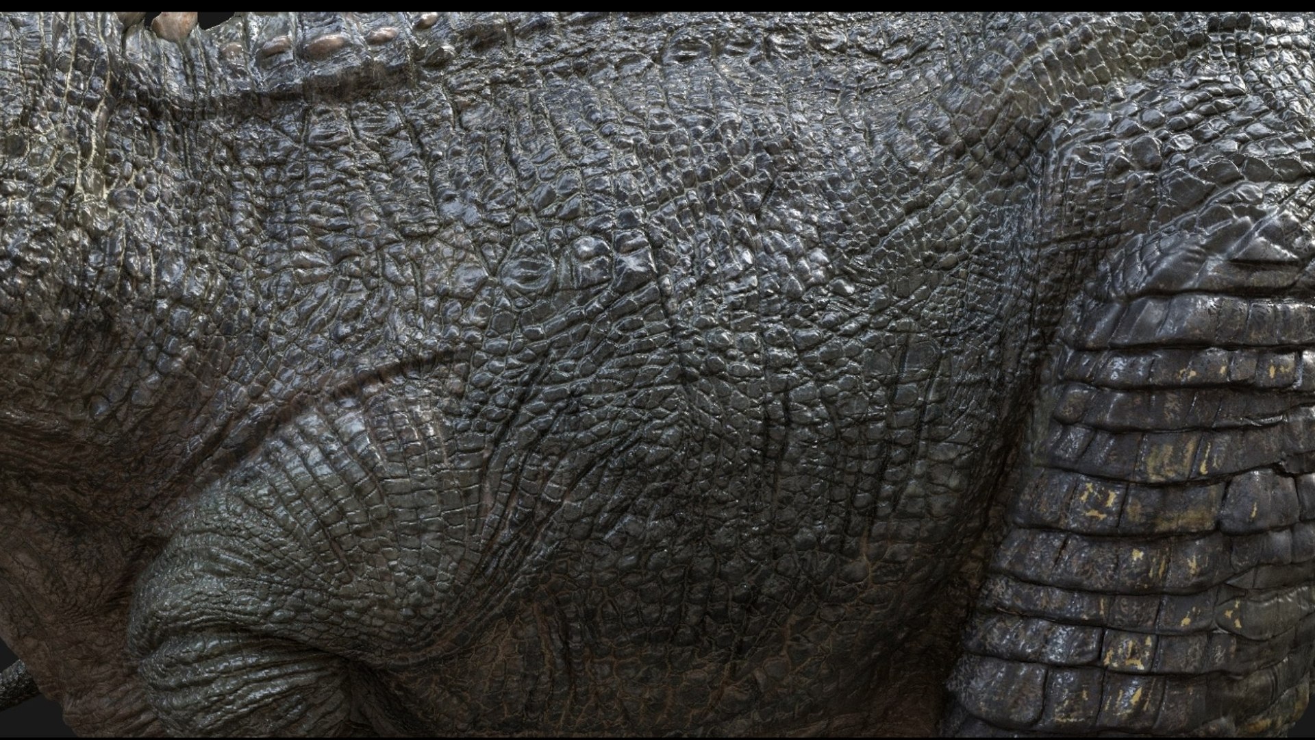 Giganotosaurus Tyranosaurus Rigged 3D 3D model https://p.turbosquid.com/ts-thumb/dn/zMc4e0/Lt/08/jpg/1759390985/1920x1080/fit_q87/69ee581dd0e649e25f3ed5bb7a51c2dc2d760259/08.jpg