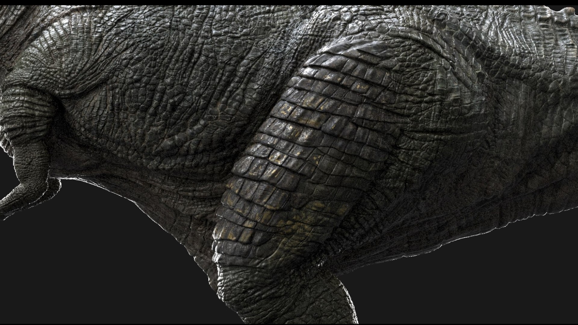 Giganotosaurus Tyranosaurus Rigged 3D 3D model https://p.turbosquid.com/ts-thumb/dn/zMc4e0/qf/31/jpg/1759390967/1920x1080/fit_q87/d83048ea1997b6a4e6c354ab938fd6d3eb206359/31.jpg