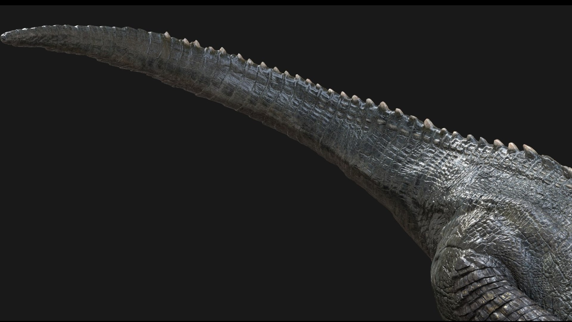 Giganotosaurus Tyranosaurus Rigged 3D 3D model https://p.turbosquid.com/ts-thumb/dn/zMc4e0/zi/24/jpg/1759390993/1920x1080/fit_q87/f5258ea7d56fb484ea396ac47d4e64e131b4db86/24.jpg