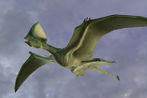 dinosaur pterosaur prehistoric 3d model