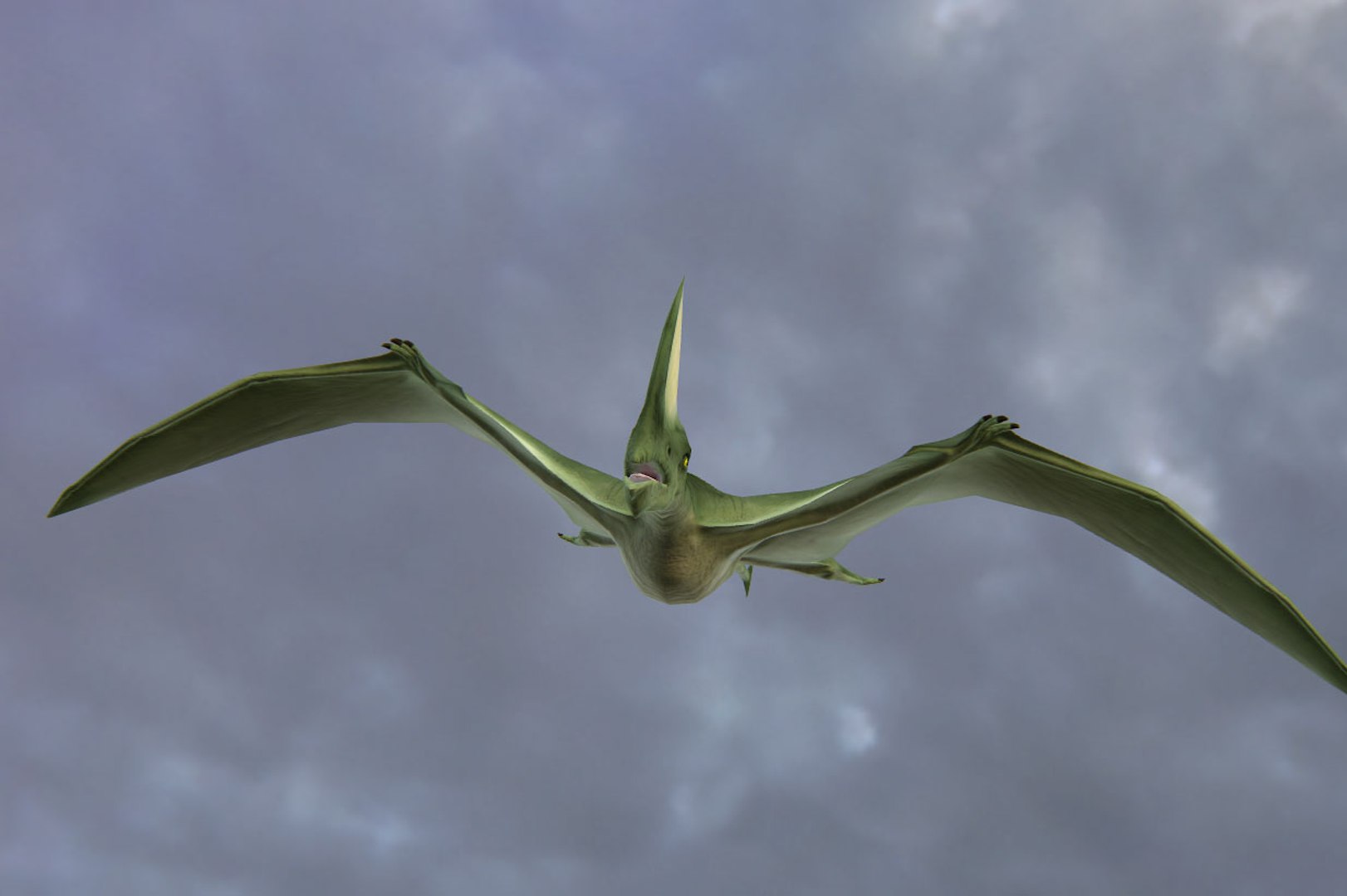 Dinosaur Pterosaur Prehistoric 3d Model