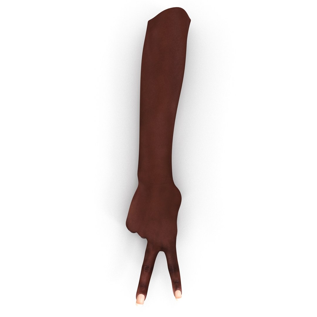 hands rigged female 3D https://p.turbosquid.com/ts-thumb/do/563xCk/AuwszMNz/riggedhandscollection3dmodels13/jpg/1503814400/1920x1080/fit_q87/f0e1ce6d3be7e88485d7a6961cf0223277291588/riggedhandscollection3dmodels13.jpg