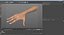 hands rigged female 3D