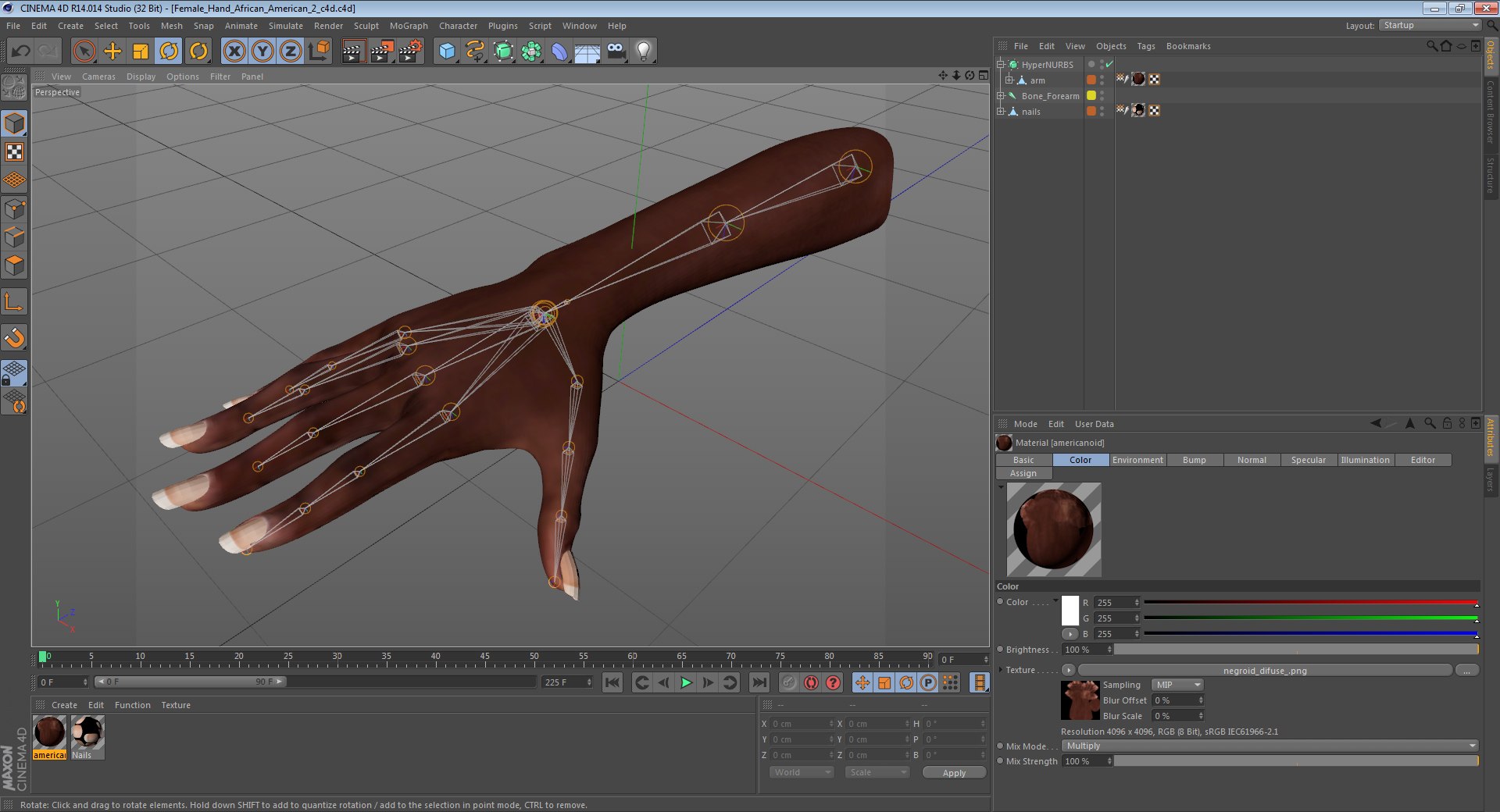 hands rigged female 3D https://p.turbosquid.com/ts-thumb/do/563xCk/adsiVf3e/femalehandafricanamericanriggedcinemac4d3dmodel36/jpg/1582772375/1920x1080/fit_q87/2a97a96c45b248b9a45f668c5044b324ed5a78d3/femalehandafricanamericanriggedcinemac4d3dmodel36.jpg