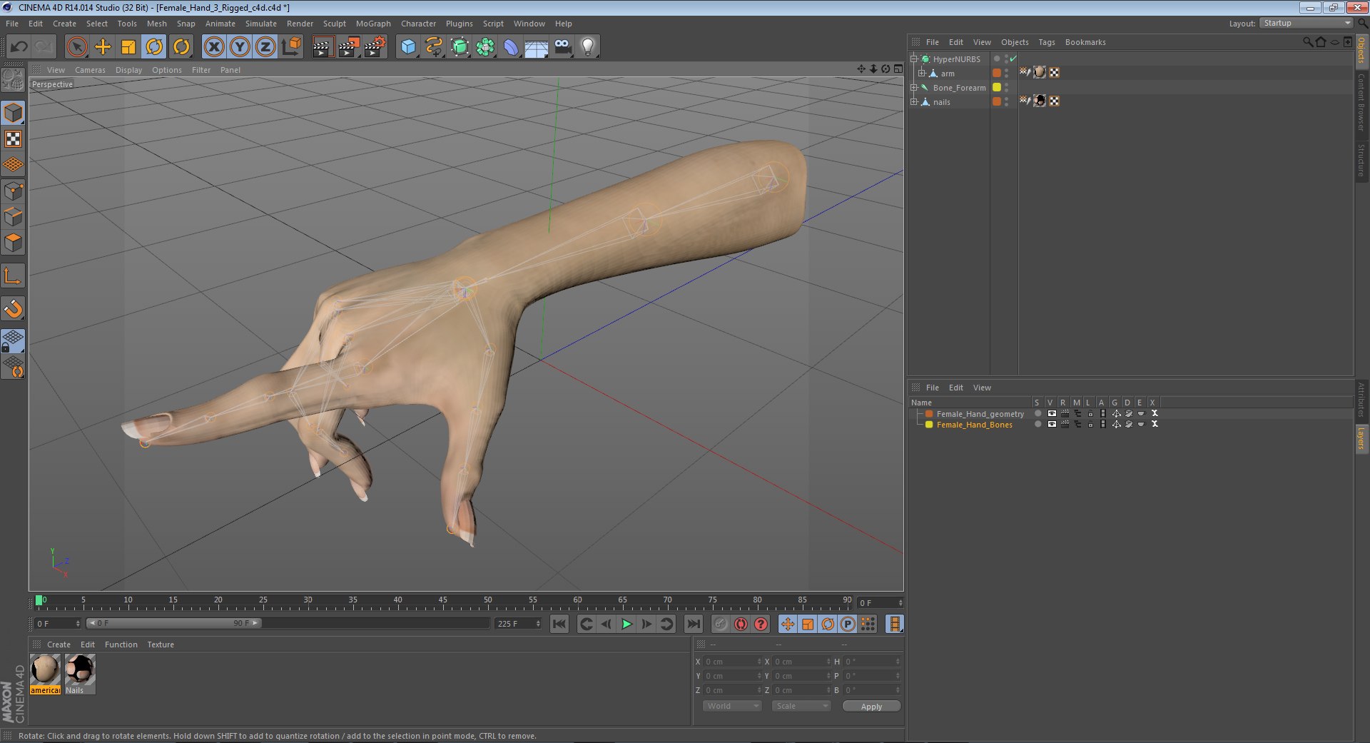 hands rigged female 3D https://p.turbosquid.com/ts-thumb/do/563xCk/hW7vG8Km/femalehandriggedcinema4d3dmodel32/jpg/1582772375/1920x1080/fit_q87/d53cf7fd003d612f543a907131c29392ae246713/femalehandriggedcinema4d3dmodel32.jpg