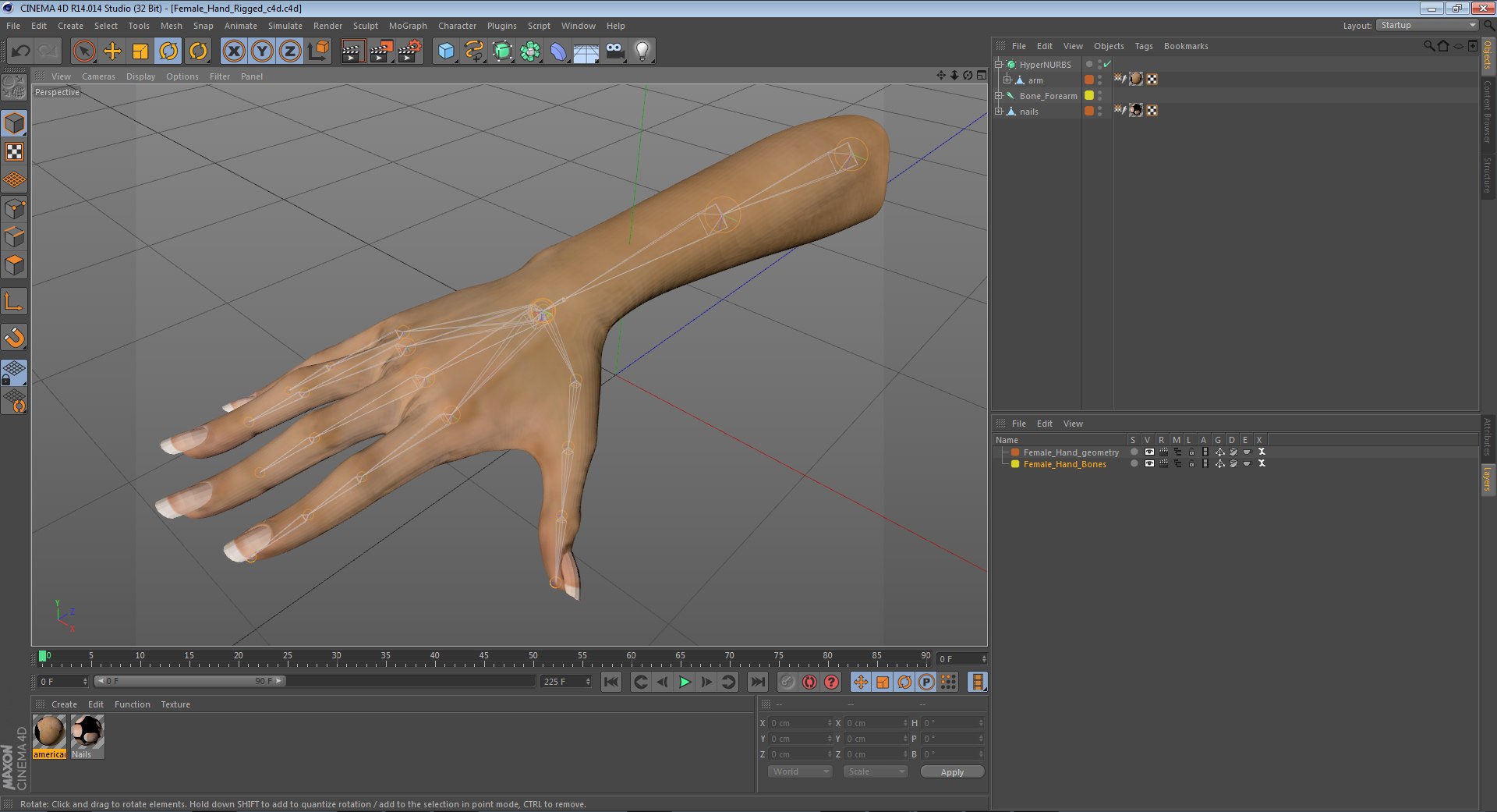 hands rigged female 3D https://p.turbosquid.com/ts-thumb/do/563xCk/wiZiH1BY/femalehandriggedcinema4d3dmodel39/jpg/1582772375/1920x1080/fit_q87/b4e7b78af509fd0152f8b1517d2374ed636e13d8/femalehandriggedcinema4d3dmodel39.jpg