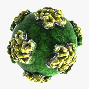 enterobacteria phage virus max