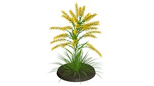 3D flora nature grass model