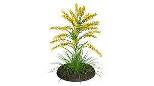 WEED floret