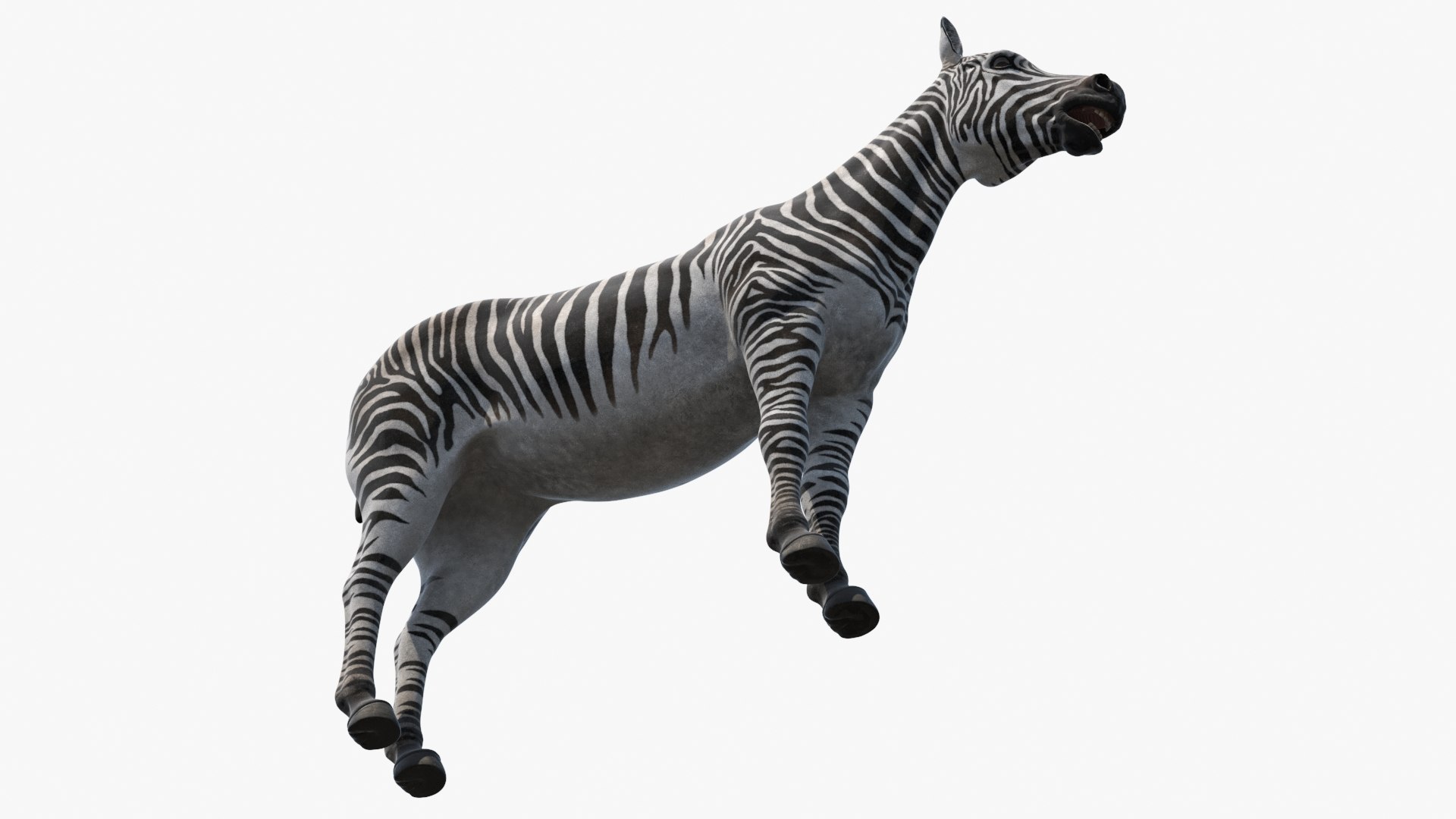Plains Zebra Rigged Model - TurboSquid 2366175