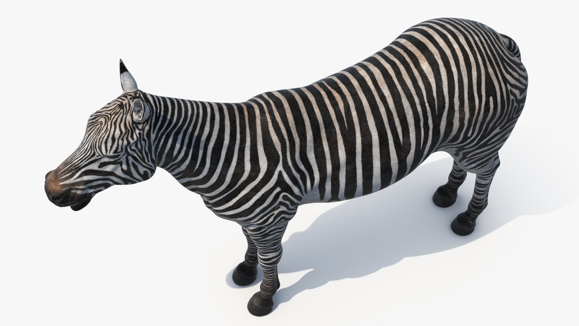 Plains Zebra Rigged Model - TurboSquid 2366175
