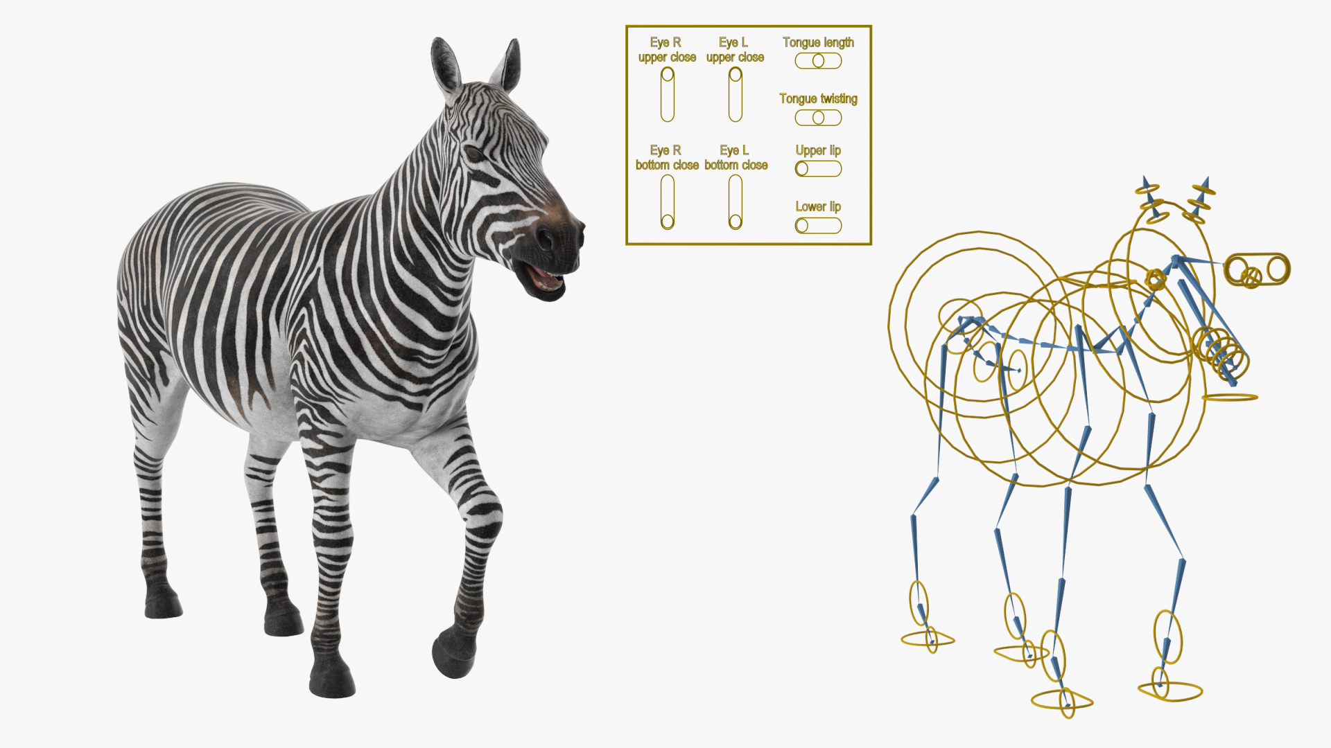 Plains Zebra Rigged Model - TurboSquid 2366175