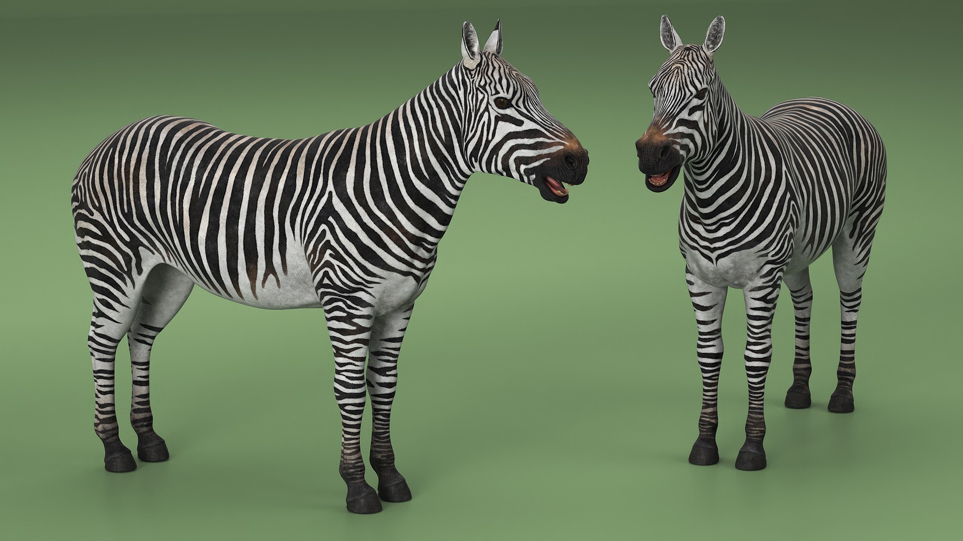 Plains Zebra Rigged Model - TurboSquid 2366175