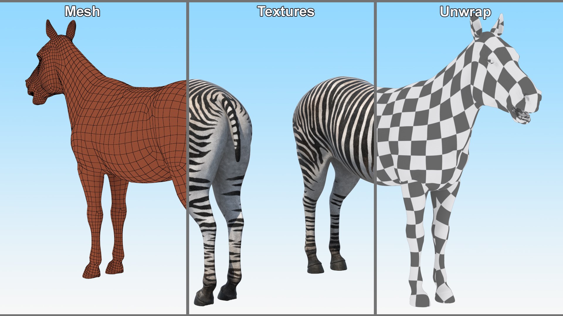 Plains Zebra Rigged Model - TurboSquid 2366175