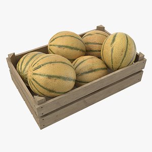 3D model Cantaloupe Melon Crate