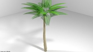 3D coconut palm tree model