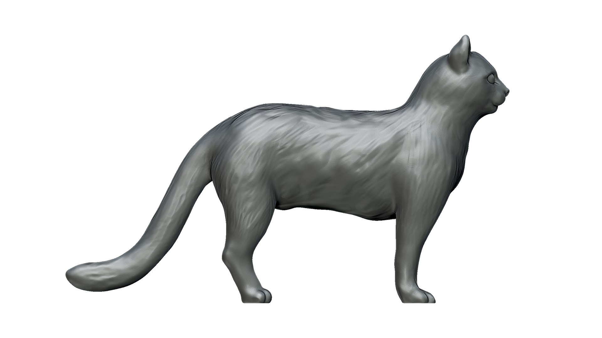 Cat For 3d Printing 3D TurboSquid 2282981