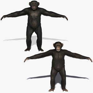 3d chimps fur