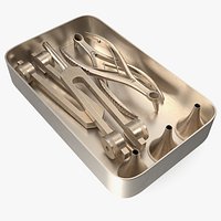 ENT Diagnostic Kit in Box Gold-Plated Stainless Steel