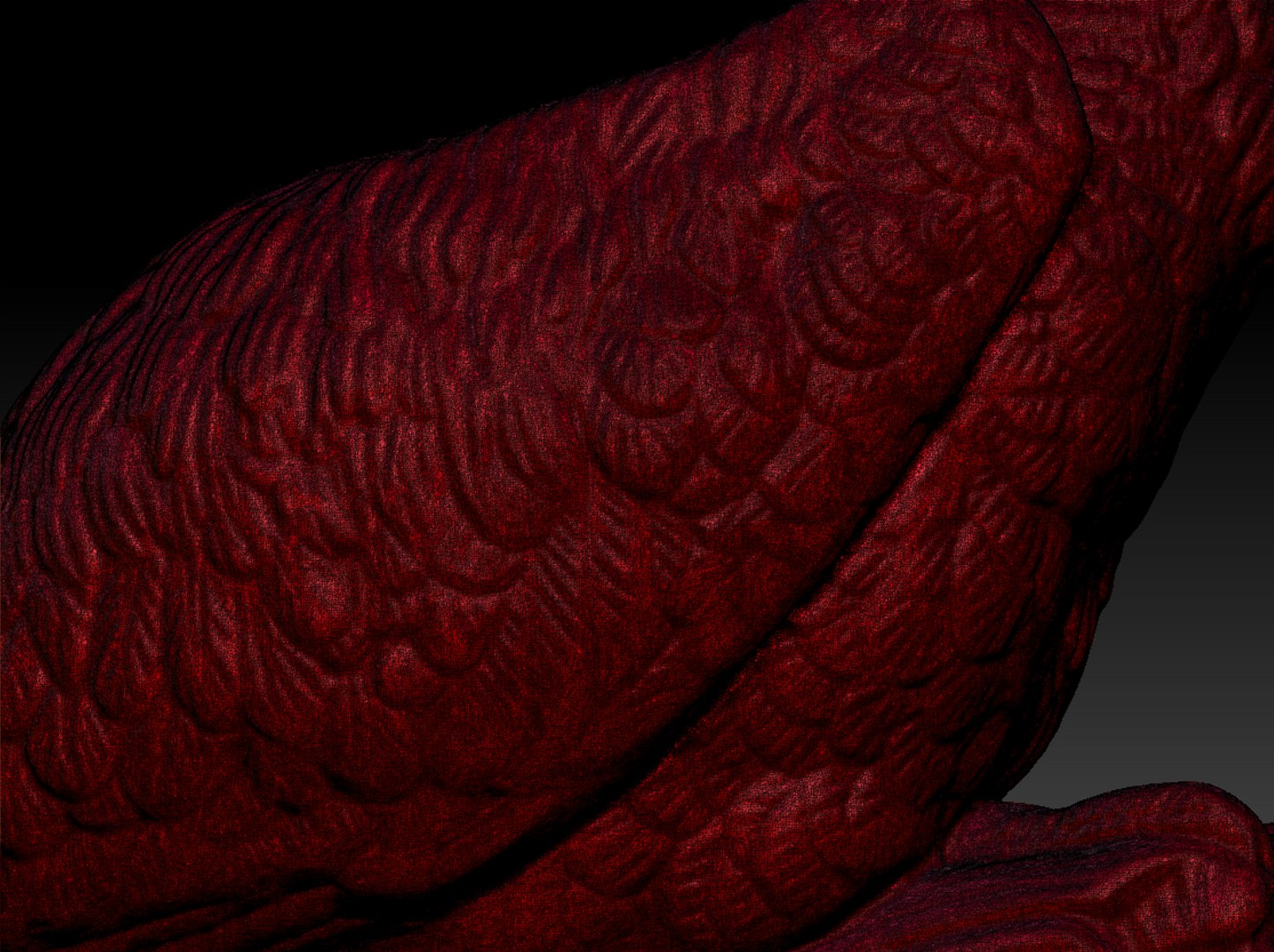 pelican 3D model https://p.turbosquid.com/ts-thumb/do/ujJqsc/SRfzR57C/111/tiff/1562020709/1920x1080/fit_q87/aef512584e34ff4faf3bde0cfac3146544d96a1f/111.jpg