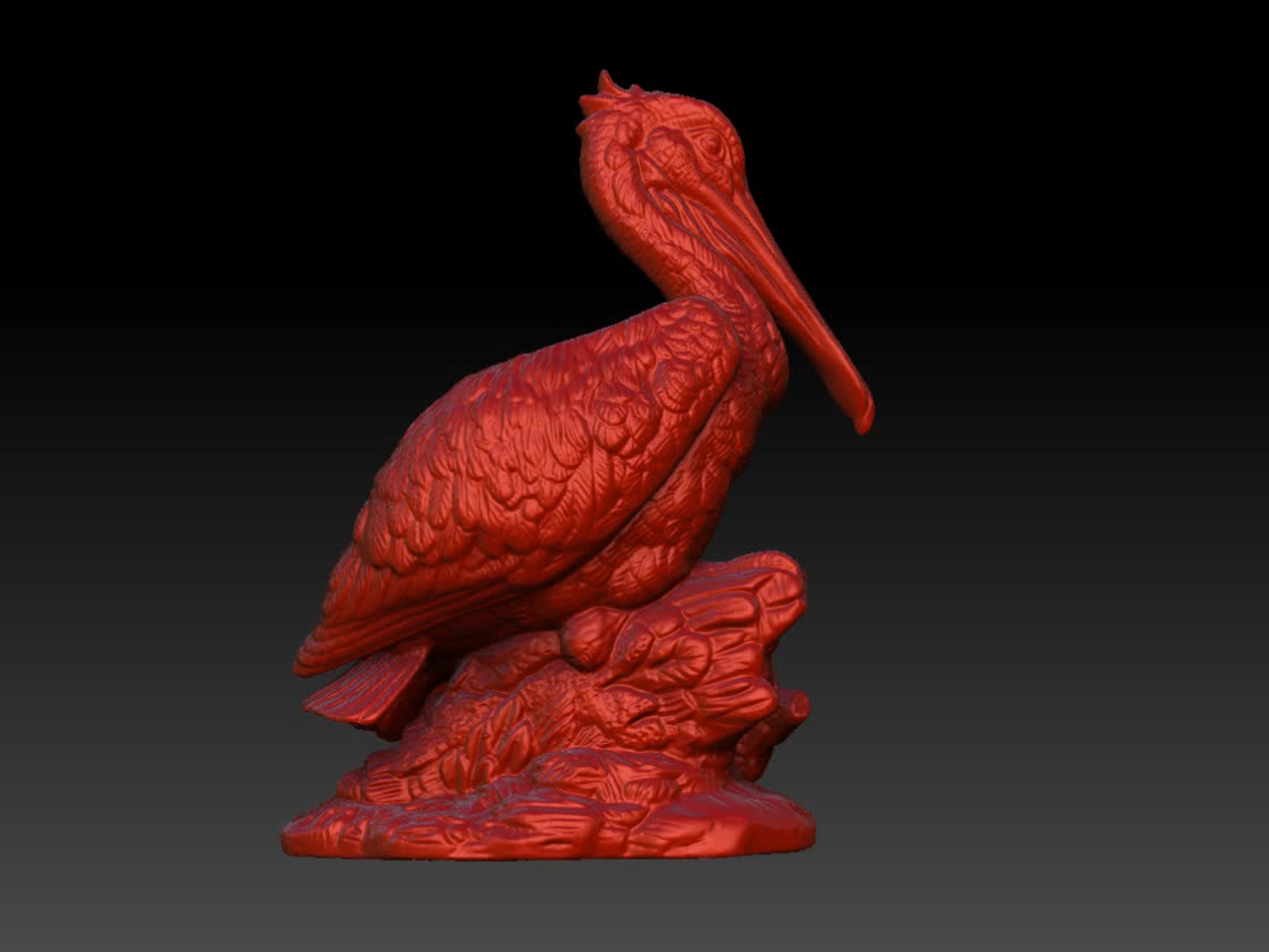 pelican 3D model https://p.turbosquid.com/ts-thumb/do/ujJqsc/w9Iyleuv/comp1/jpg/1562337105/1920x1080/turn_fit_q99/c123f69495549cc2b3546d8a3a706abadacf6dd1/comp1-1.jpg