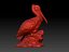 pelican 3D model