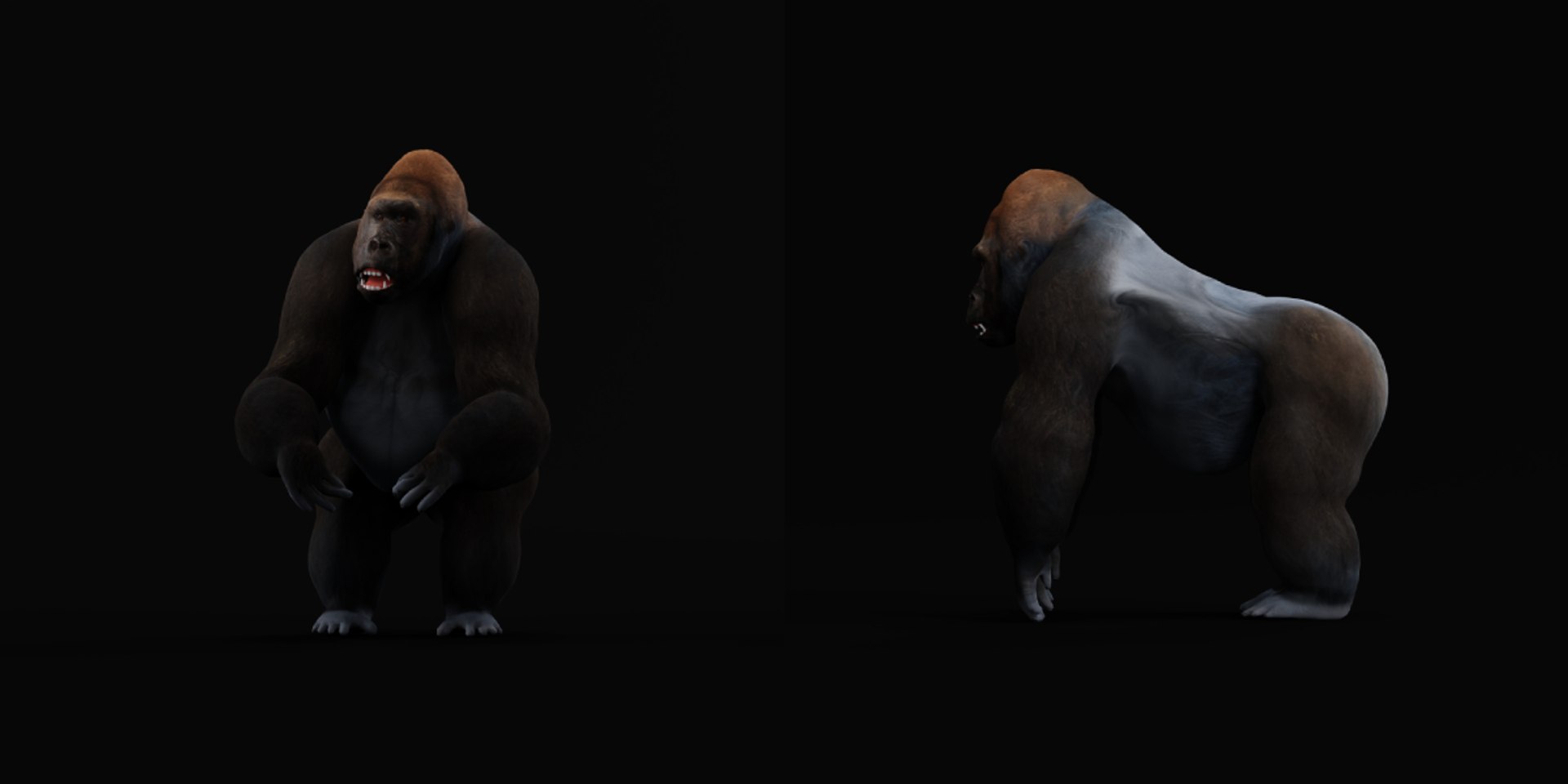 Western Lowland Gorilla model https://p.turbosquid.com/ts-thumb/do/xRzP7p/y7/western_lowland_gorilla_primate8/png/1737303585/1920x1080/fit_q87/6627b13126ad3ae381a1490591856a6c9c6dff1c/western_lowland_gorilla_primate8.jpg