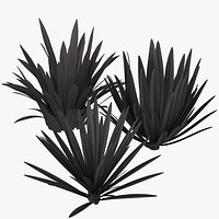 Flax Platts Black Set