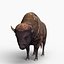 Bison