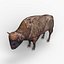 Bison