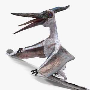 3D pterosaur pteranodon white standing