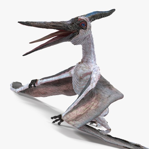 pterosaurpteranodonwhitestandingposevray3dmodel000.jpg