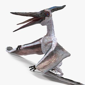 Pterosaur Pteranodon White Standing Pose 3D Model