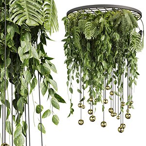 3D plant vol 713 -  Hanging - Pothos - Fern - Chandelier model
