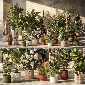 Large collection of 20 realistic potted basketed interior plants 3D model