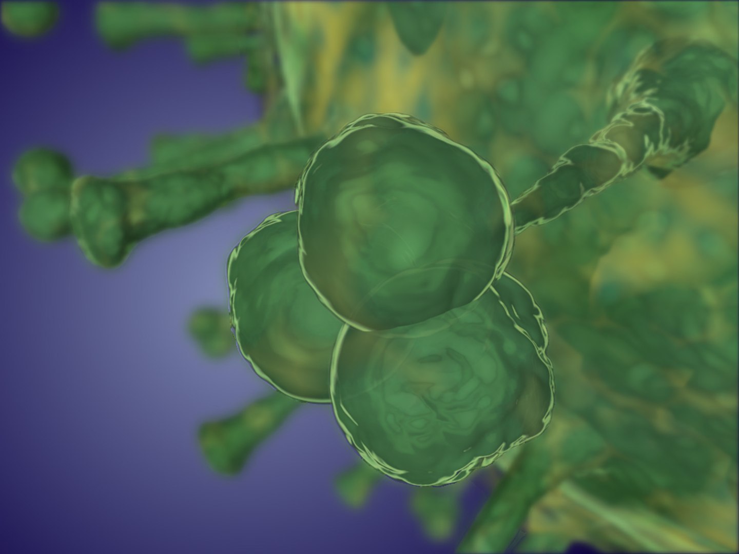 3d Model Influenza Virus Cell Flu