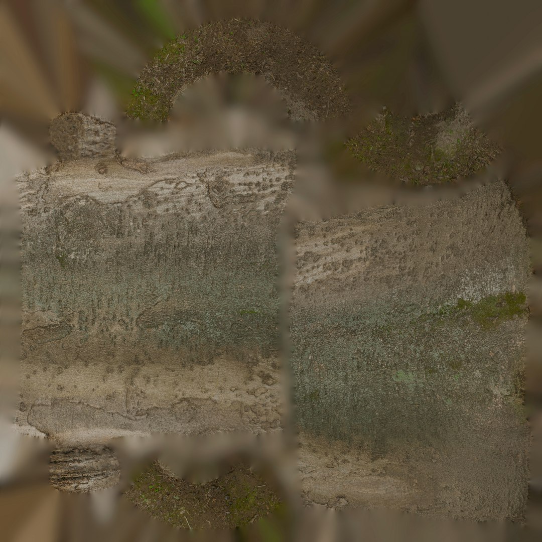 3D Anydrafts Celtis Sinensis Trunk Model And Leaves Texture Pack ...