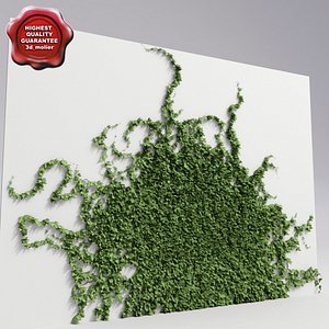 Wall with ivy V6