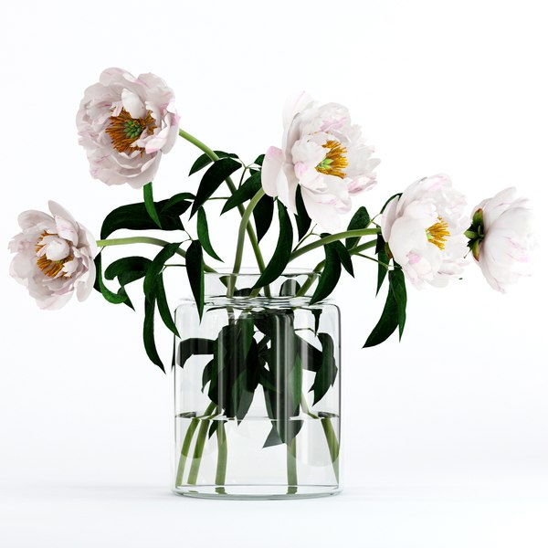 3D realistic peones flowers - TurboSquid 1226446