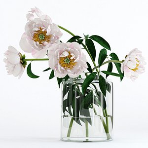 3D realistic peones flowers